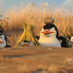 los pinguinos de madagascar_2